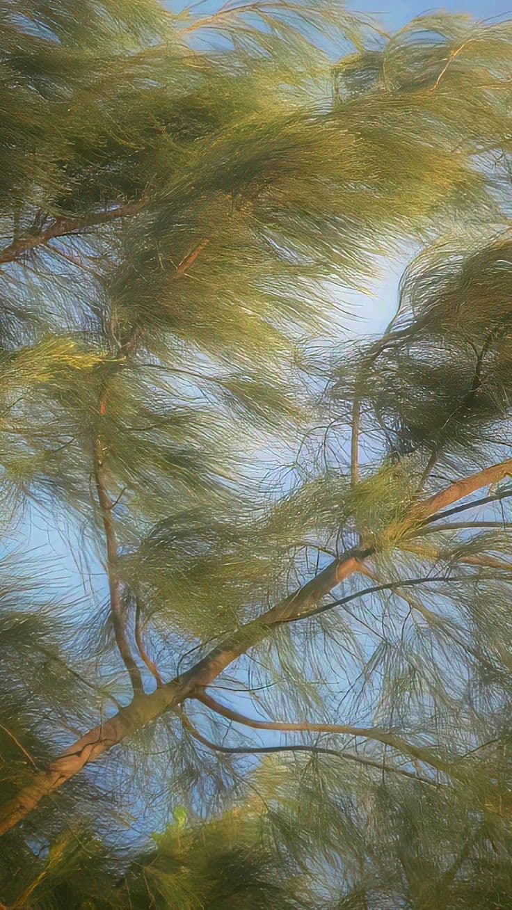 Intelligent Understanding